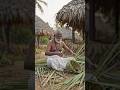 dada ji ne palm leaf se banaya ghar#shorts #viralvideo #youtubeshorts #youtubealternative
