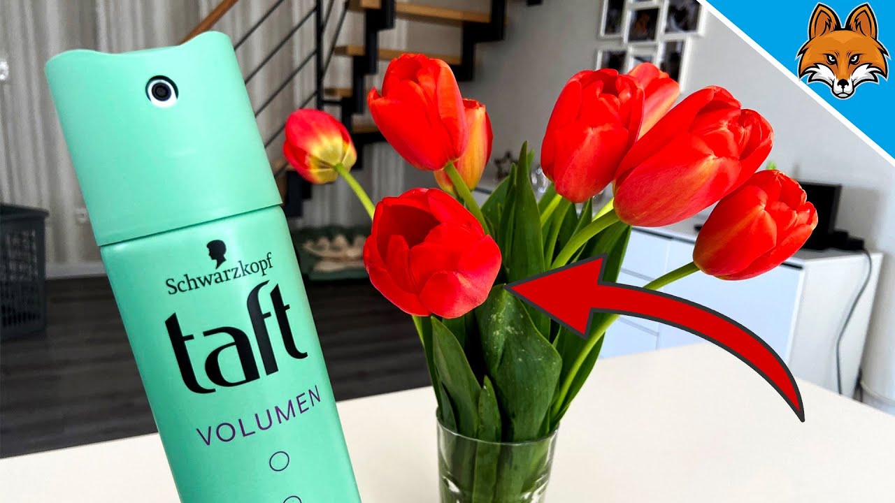 Sprhe HAARSPRAY auf deine Blumen und STAUNE WAS PASSIERT