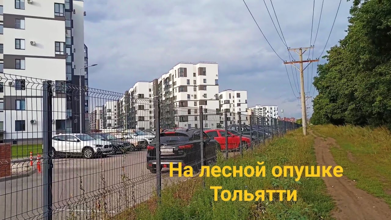 Вдоль опушки леса Тольятти гуляю / от Центрального до Автозаводского ...