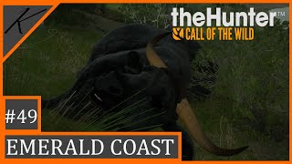 Melanická trofej | The Hunter: Call of the wild | #49 | Emerald coast | cz
