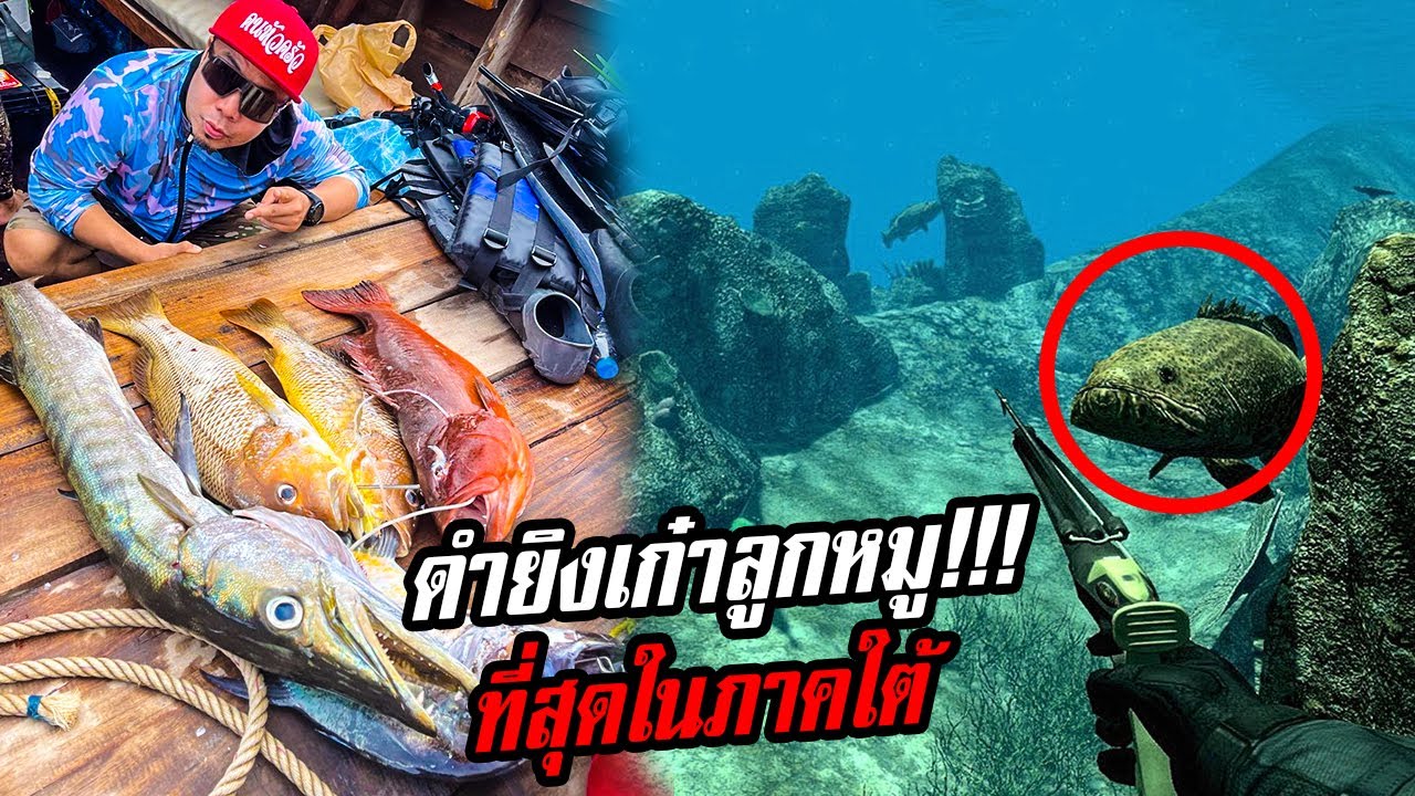 ดำยิงเก๋าลูกหมู!! เปิดอีกโลกแห่งการล่าวัตถุดิบ!! ที่สุดแห่งภาคใต้!!