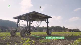 ecoRobotix — робот для прополки сорняков