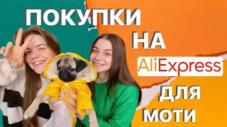 МОПС МАТИЛЬДА🐶 Наши покупки для щенка на AliExpress и прогулка💚