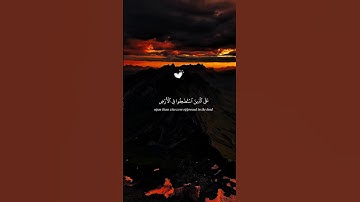 وَنُرِيدُ أَن نَّمُنَّ عَلَى ٱلَّذِينَ ٱسْتُضْعِفُوا۟ فِى ٱلْأَرْضِ| محمد صديق المنشاوي | سورة القصص