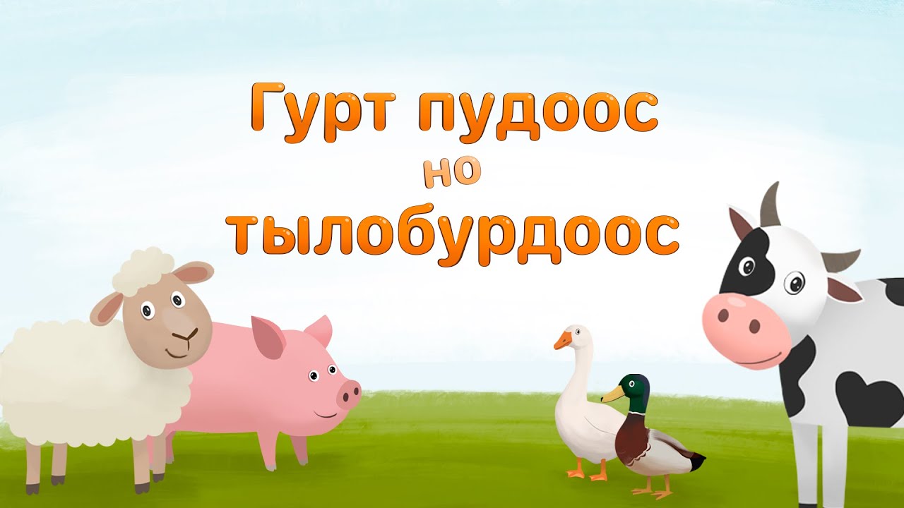 Гурт пудоос но тылобурдоос / Домашние животные и птицы