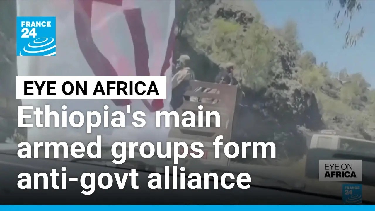 Ethiopia's main armed groups form anti-government alliance • FRANCE 24 English