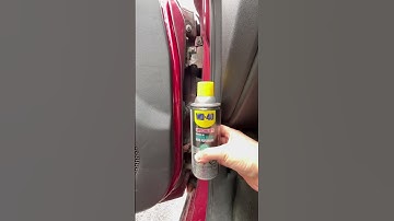 Squeaky door hinge repair #automotive #wd40 #repair #diy