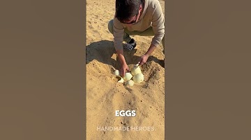 Dinosaur Eggs… But There’s a WOWCube Inside?! 😱🦖🎮