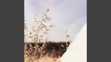 Contemporary Moods for Lazy Days