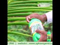 Coconut Online Farmer Mr. Raj ahmed giving feedback about our Products