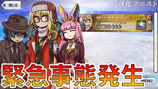 こやはんの配信のサムネイル画像