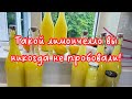REAL LIMONCELLO FROM AN ITALIAN HOMEMADE LEMONCELLO RITA S RECIPE Amond Zhanna1516