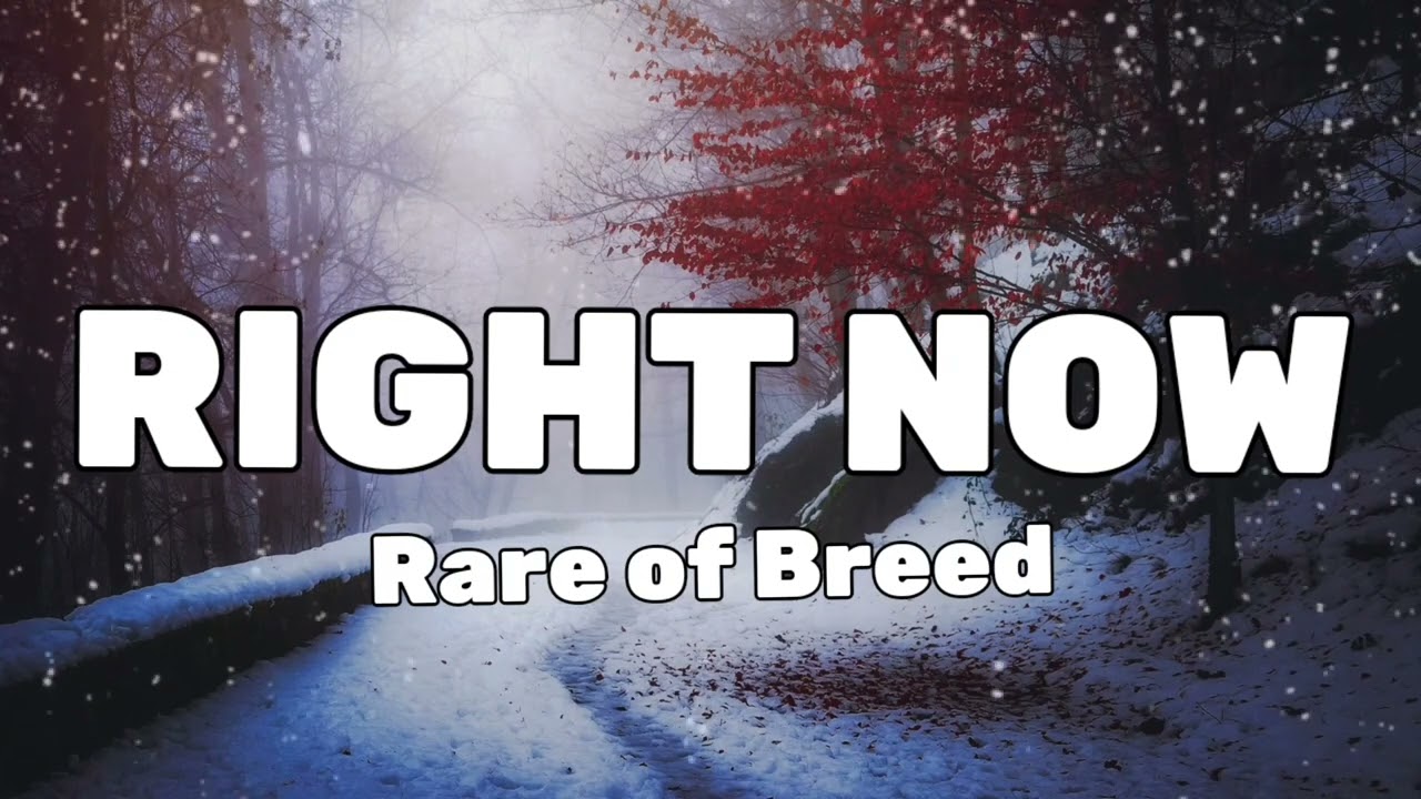 rare-of-breed-right-now-lyrics-youtube