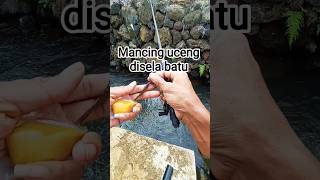 Mancing uceng disela batu