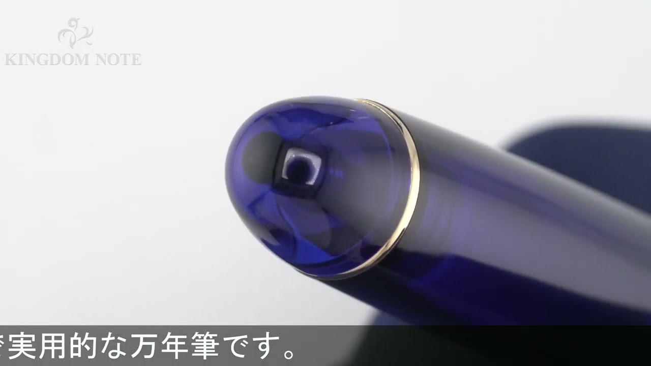 PLATINUM プラチナ 万年筆 #3776 センチュリー シャルトルブルー PNB