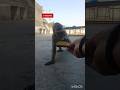 dekho to inko🤣😍#viral #viralvideo #shortvideo #shorts #trending #funny #youtubeshorts #monkey #like