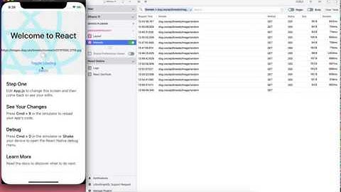 Networking with Flipper React Native