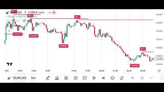 The Range Filter Indicator On Tradingview! The Most Accurate BUY SELL Indicator Of 2024 Net Worth