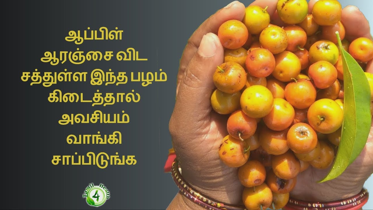 இந்த பழம் கிடைச்சா மறக்காம வாங்கி சாப்பிடுங்க | BER FRUITS BENEFITS IN