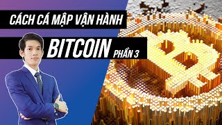 Cách Cá Mập Vận Hành Thị Trường BITCOIN l Phần 3