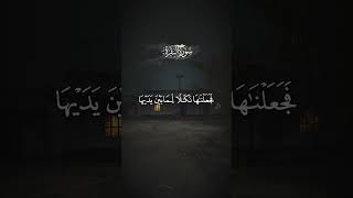 Qari Wadie Alyamni Tilawat Beautiful Video 94 | #shorts #tilawat #quran #muhammaddibirov