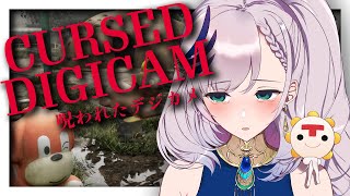 パヴォリア・レイネの配信のサムネイル画像