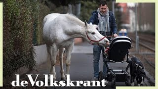 Een baby en een paard begroeten elkaar in Frankfurt - De Aarsman Collectie - de Volkskrant