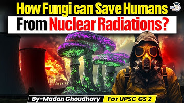 The Weird Connection Between Fungi and Nuclear Disasters