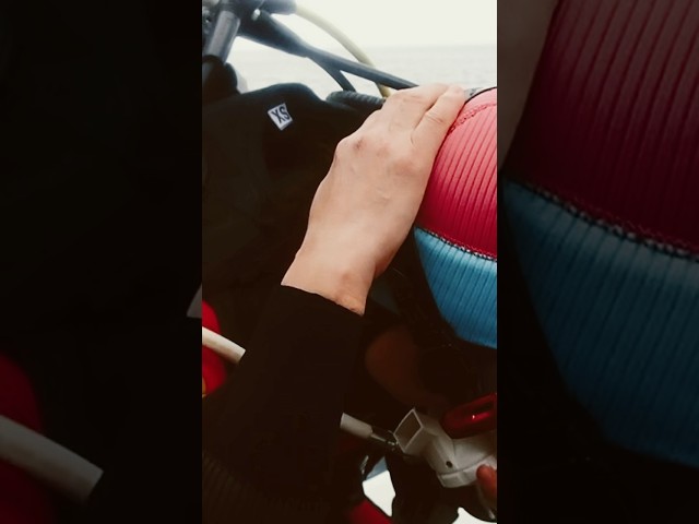 ＠四国愛南ダイビング