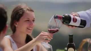ZONIN1821 - OSO wine (QR spot)