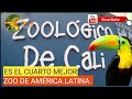 ZOOLOGICO DE !CALI¡ (colombia)2019
