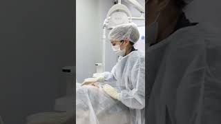 Luiza Melo-10