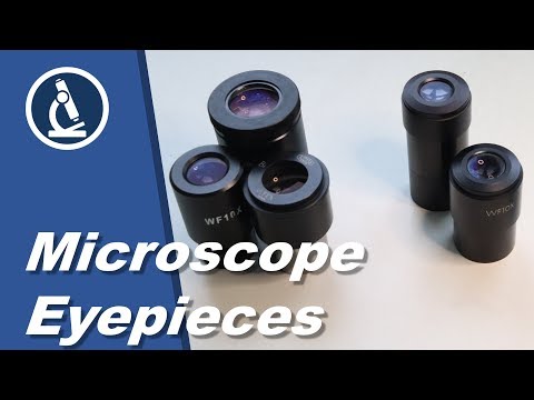 Video: Care este mărirea lentilei oculare a unui microscop?