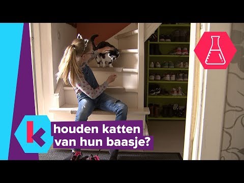 Video: Houden Katten Van Hun Baasjes? Studie Zegt Veel Meer Dan Je Zou Verwachten