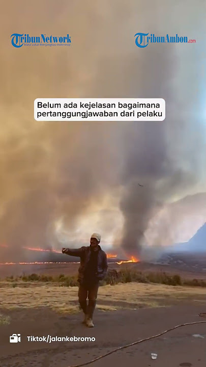 Kemunculan Angin Puting Beliung Berapi Di Kawasan Bromo Yang Terbakar
