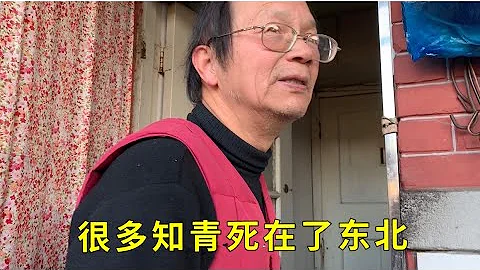 【下】上海知青口述历史，很多知青死者在了东北，他称自己是命硬 - 天天要闻