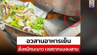 ลูกค้าโวยร้านซีฟู๊ดดัง สั่งเมนูหมึกไข่นึ่งมะนาว ผงะ! เจอซากแมลงสาบ| สถานการณ์ | 19 พ.ค.67 |ข่าวช่อง8