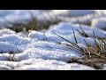 Melting Snow Under The Sunlight (Instrumental Music)