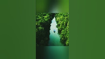 إنا اعطيناك الكوثر عبدالرحمن مسعد حالات واتس اب دينية قصيرة قران كريم تلاوة خاشعة ومؤثرة بصوت جميل