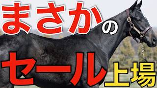That major race winner is unexpectedly going up for sale at the breeding auction! It feels like i...