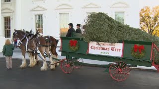 Barron and Melania Trump Welcome White House Christmas Tree