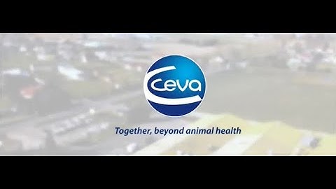 C H I C K Program  Customer Passion- Short