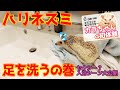 【ハリネズミ】カラちゃん足を洗うの巻!! セクシー? キュート?? E-CarLife with 五味やすたか