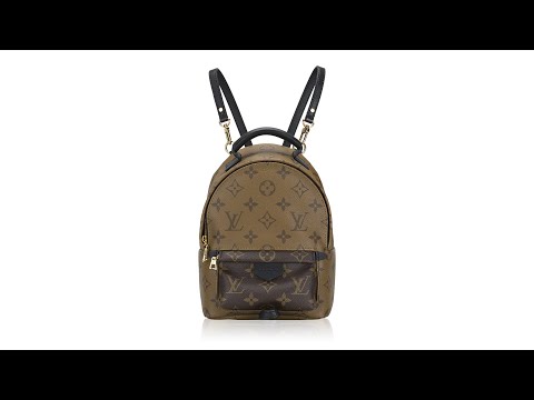 Louis Vuitton Monogram Reverse Palm Springs PM Louis Vuitton Monogram Reverse Palm Springs PM