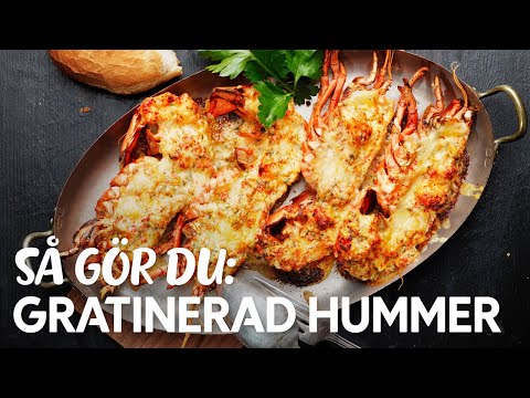 Video: Kan du genopvarme hummer-termidor?