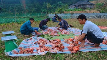 THỊT BÒ ĂN TẾT/ Hoàng Việt Tây Bắc