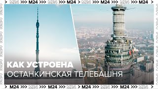 Как устроена и работает Останкинская телебашня в Москве - Познавательный фильм - Москва 24