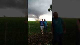 Tornado en Fulton (I)