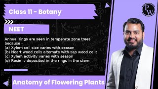 Annual rings are seen in temperate zone trees because -  (a) Xylem cell size varies with season  ...
