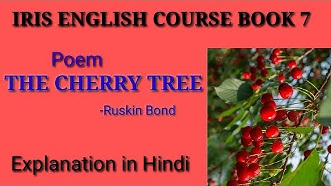 The cherry Tree explanation class 7 Eng